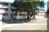 Picture_0121.jpg (664455 bytes)