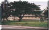 1ww2.jpg (25087 bytes)